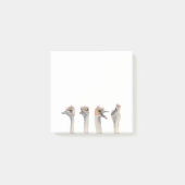 Funny Ostrich Birds Waterverf | Drama Queen Post-it® Notes (Voorkant)