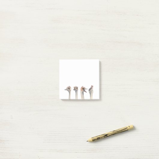 Funny Ostrich Birds Waterverf | Drama Queen Post-it® Notes (Op bureau)