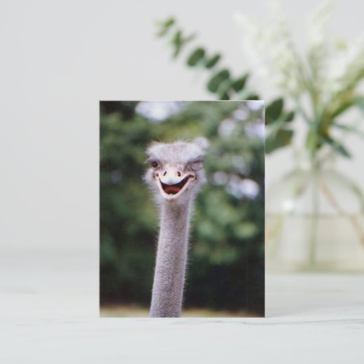 Funny Ostrich Briefkaart (Staand voorkant)