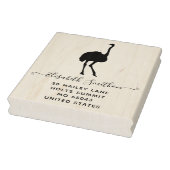 Funny Ostrich Cute Bird Animal Personal Stationery Rubberstempel (Stempel)