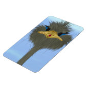 Funny Ostrich George en Cute Ladybug Magneet (Linkerzijde)