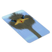 Funny Ostrich George en Cute Ladybug Magneet (Rechterzijde)