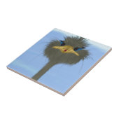 Funny Ostrich George en Cute Ladybug Tegeltje (Zijkant)