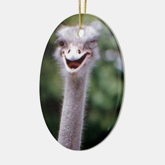 Funny Ostrich Keramisch Ornament (Links)