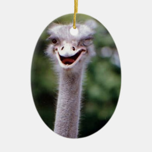 Funny Ostrich Keramisch Ornament