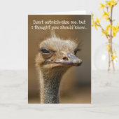 Funny Ostrich Old Age Birthday Kaart (Gele Bloem)