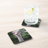 Funny Ostrich Onderzetter (Rechterzijde)