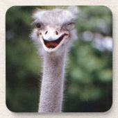 Funny Ostrich Onderzetter (Voorkant)