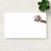 Funny Ostrich Post-it® notes (Kantoor)