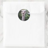 Funny Ostrich Ronde Sticker (Tas)
