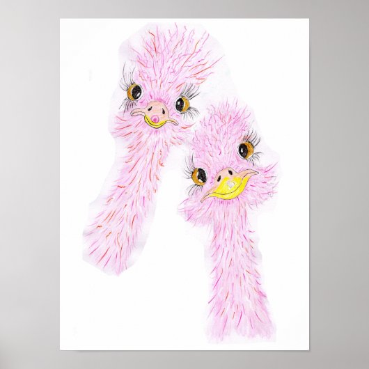 Funny Ostriches Poster  (Voorkant)