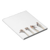 Funny Ostriches Waterverf Illustratie Notitieblok (Schuin)