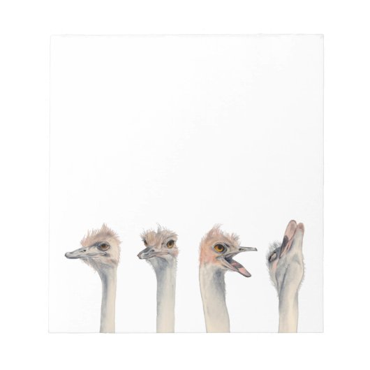 Funny Ostriches Waterverf Illustratie Notitieblok (Voorkant)