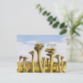 Funny Ostridge Briefkaart (Staand voorkant)