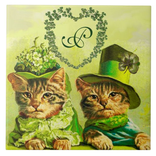FUNNY OUDE FASHION ST.PATRICK'S DAY CATEGORIE TEGELTJE (Voorkant)