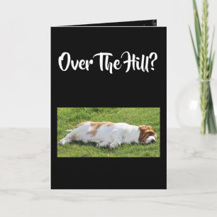 Funny "Over the Hill" Birthday Card W/Basset Kaart