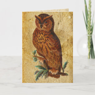 Funny  Owl Birthday Card Kaart