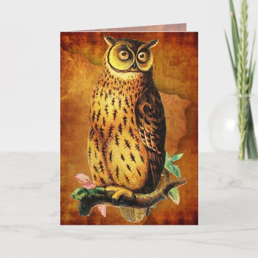 Funny Owl Birthday Card Kaart (Voorkant)