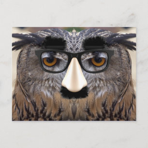 Funny Owl Face met Masker Briefkaart