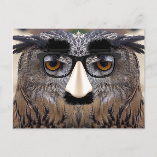 Funny Owl Face met Masker Briefkaart (Voorkant)