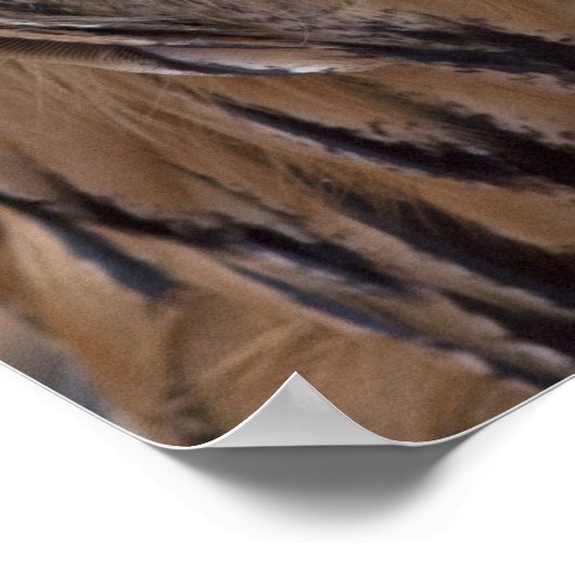 Funny Owl Face met Masker Poster (Hoek)