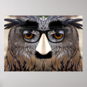 Funny Owl Face met Masker Poster