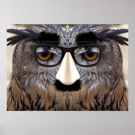 Funny Owl Face met Masker Poster (Voorkant)