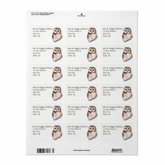 Funny Owl Waterverf Bird Custom Address Etiket (Full Sheet)