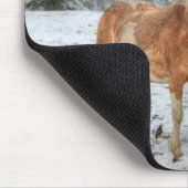 Funny Palomino & Red Dun Ranch Horses op sneeuw Muismat (Hoek)