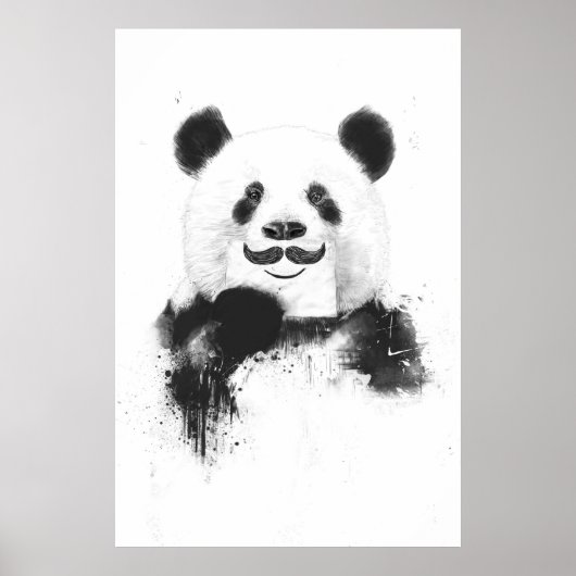 Funny panda poster (Voorkant)