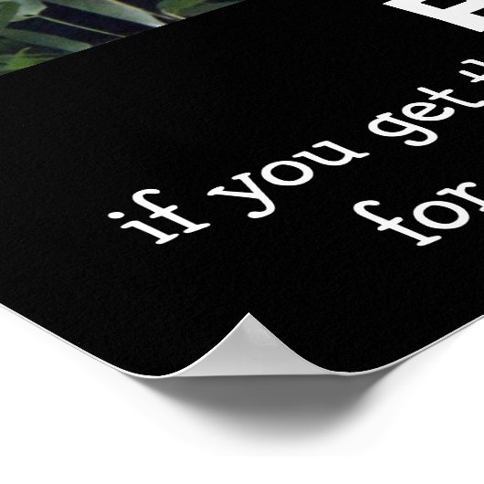 Funny Panda Poster, PATIENCE Poster (Hoek)