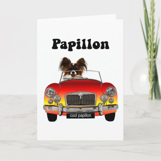 Funny Papillon Kaart (Voorkant)