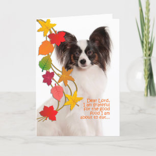 Funny Papillon-Thanksgiving Kaart