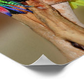 Funny Parrot Anger Quote Inspirerend Poster (Hoek)