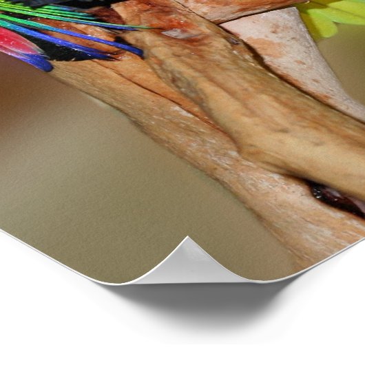 Funny Parrot Anger Quote Inspirerend Poster (Hoek)