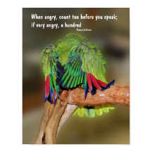 Funny Parrot Anger Quote Inspirerend