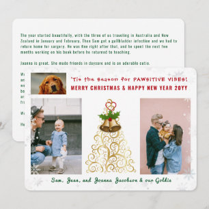 Funny Pawsitive Dog Cat 3 foto's Schattigee sneeuw Feestdagenkaart