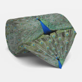 Funny Peacock Feathers Stropdas (Opgerold)