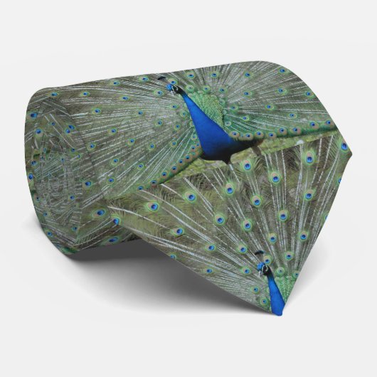 Funny Peacock Feathers Stropdas (Opgerold)