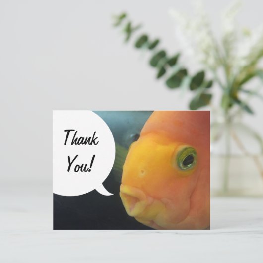 Funny Peekaboo Fish Bedankt Briefkaart (Staand voorkant)