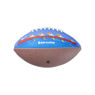 Funny pelicans rowing cartoon illustratie american football