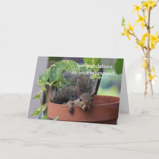 Funny pensioncard, Squirrel in Planter Kaart (Gele Bloem)