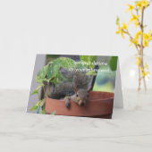 Funny pensioncard, Squirrel in Planter Kaart (Gele Bloem)
