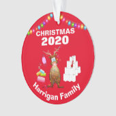 Funny Personalized 2020 Covid kerstboom Ornament (voorkant)