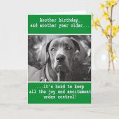Funny Personalized Dog Photo Birthday Kaart (Gele Bloem)