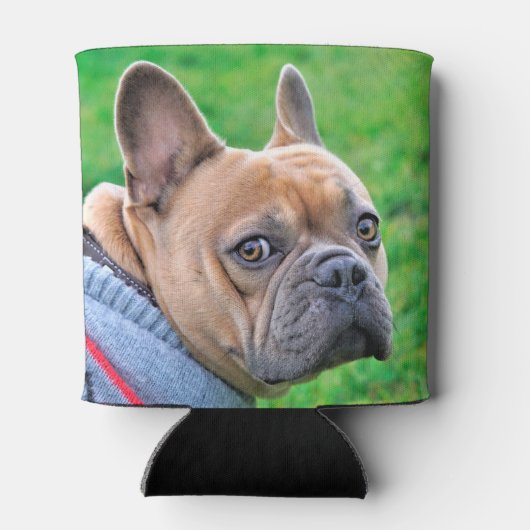 Funny Personalized Pet Photo Dog Dad Blikjeskoeler (Achterkant)
