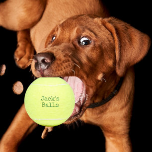Funny Personalized Tennis Balls Tennisballen