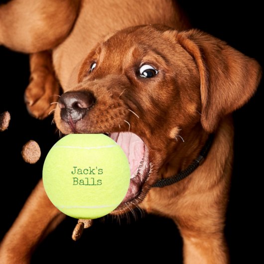 Funny Personalized Tennis Balls Tennisballen