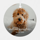 Funny Pet 2 met Kerstmis Metalen Ornament (Voorkant)