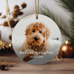 Funny Pet 2 met Kerstmis Metalen Ornament<br><div class="desc">Een Funny Pet-kerstversiering met eenvoudig type definieert een ondeugende groet aan de voorkant. De achterkant heeft een tweede foto. Klik uitgeven knoop om dit ontwerp aan te passen.</div>